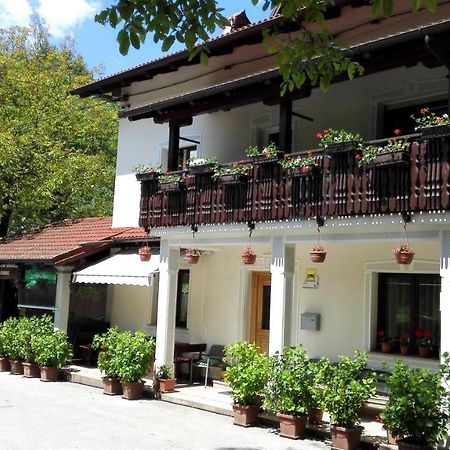 Domacija Bubec Villa Ilirska Bistrica Kültér fotó